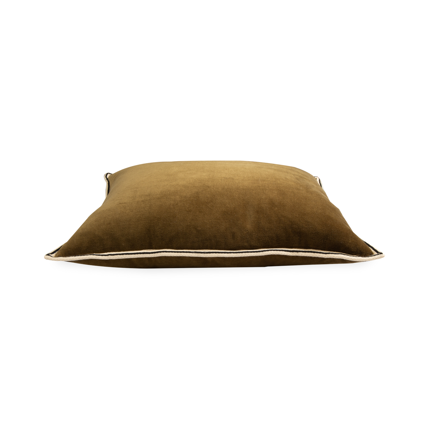 Coussin en velours