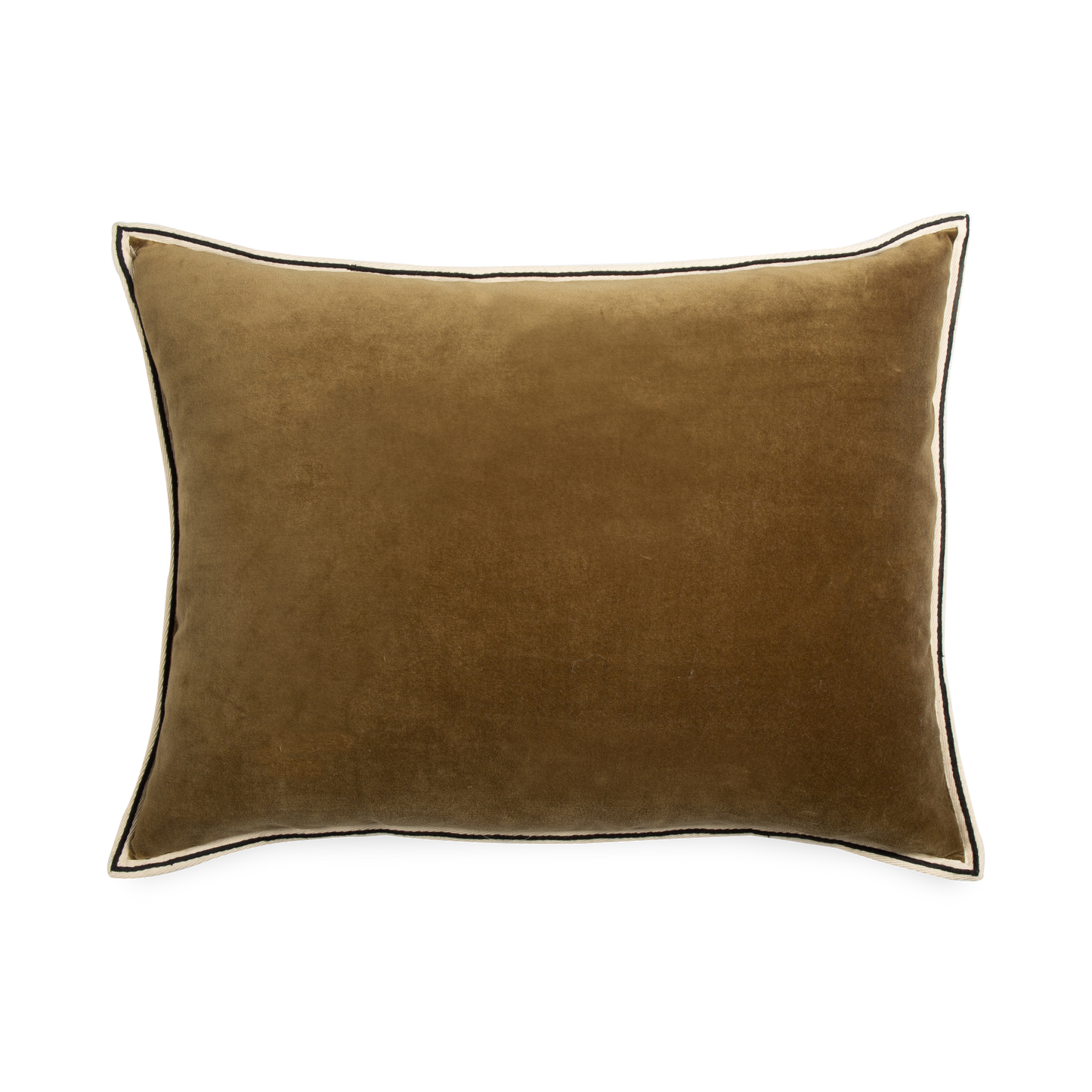 Coussin en velours