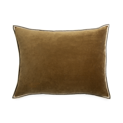 Coussin en velours