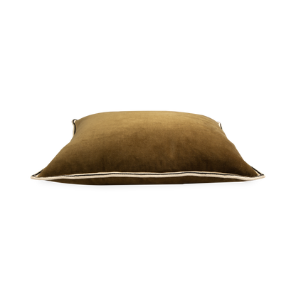 Coussin en velours
